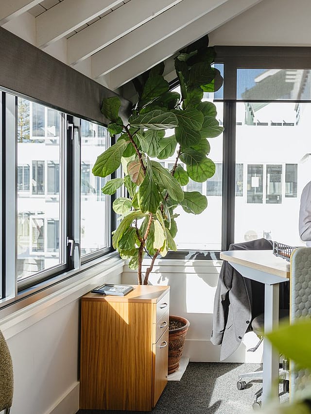 Business and commercial legal guides in Hawke's Bay