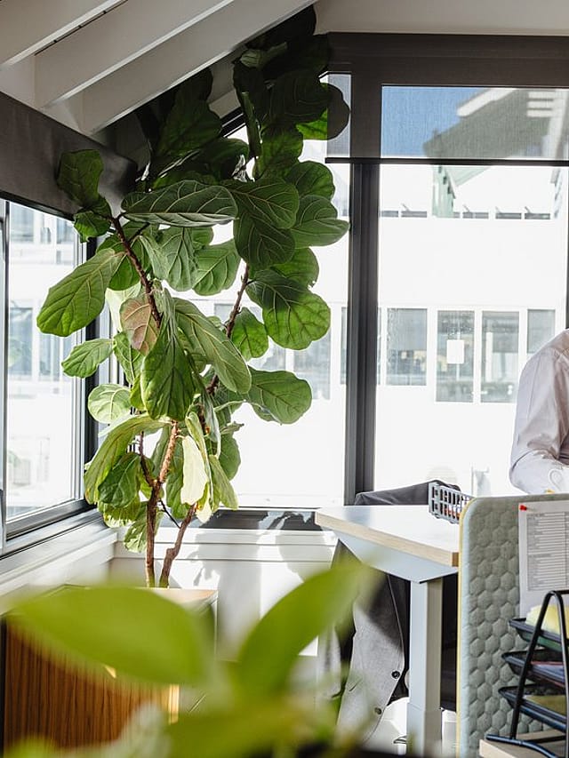 Finance and banking legal services