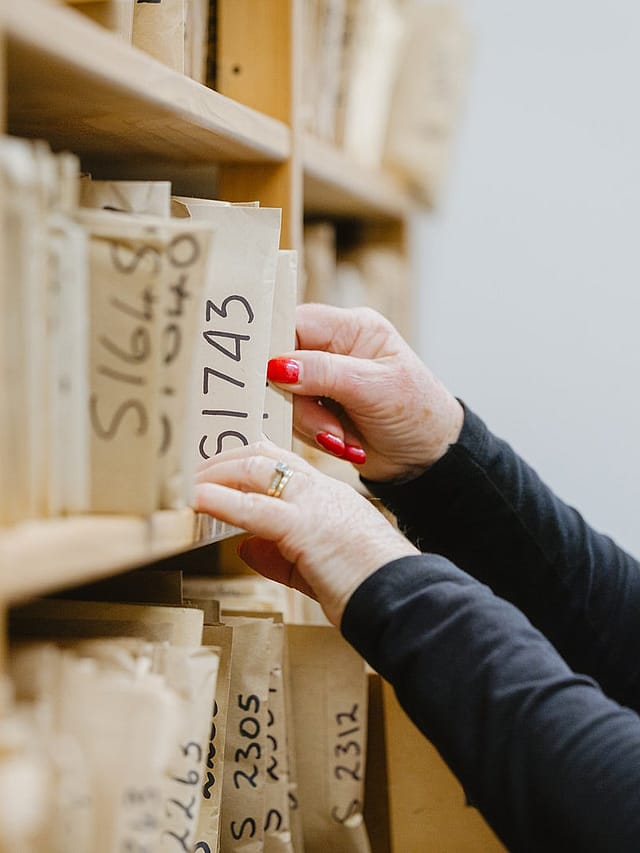 Not-for-profit organisation legal services