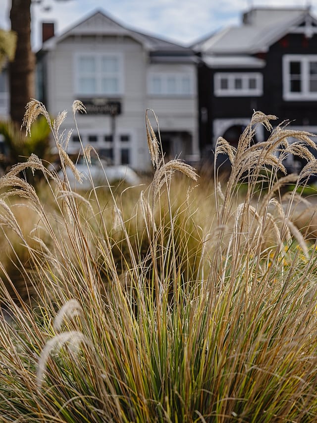 Residential property legal services in Hawke's Bay